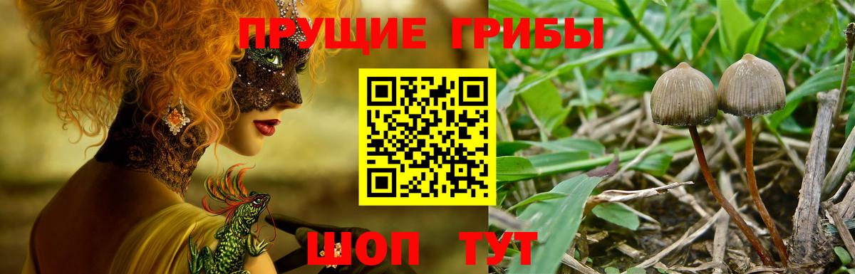 Псилоцибиновые грибы Magic Shrooms Ртищево