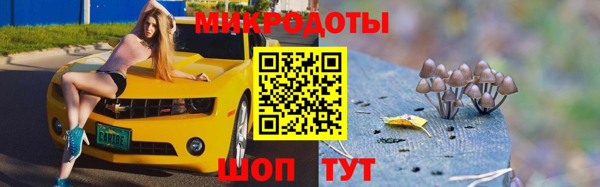Ртищево  Галлюциногенные грибы GOLDEN TEACHER  Вход с VPN  Галлюциногенные грибы MAGIC MUSHROOMS 